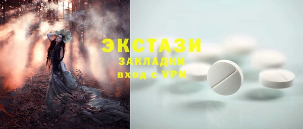 гашик Богородск