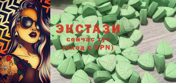 гашик Богородск
