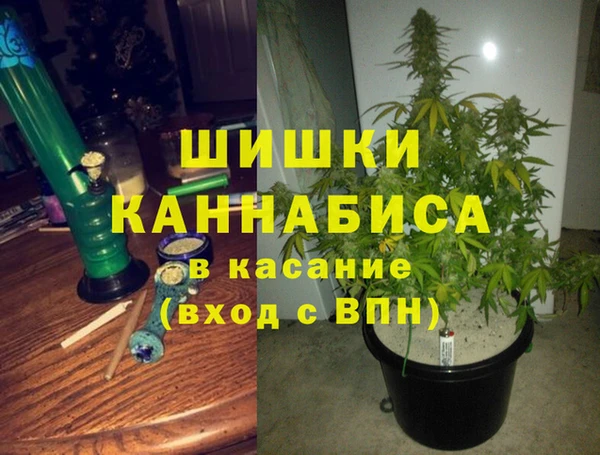 гашик Богородск