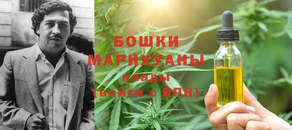 гашик Богородск