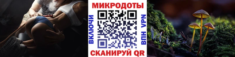 Галлюциногенные грибы Psilocybe  Купить где  Пыталово 